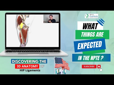 Discovering the 3-D Anatomy of Hip Ligaments