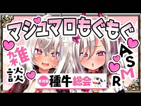 【ASMR雑談】マシュマロもぐもぐ♡第10回種牛総会【山田テュテュル/Vtuber】