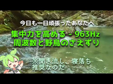 集中力を高める - 963Hz 周波数と野鳥のさえずり#VOICEVOX:ずんだもん