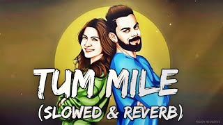 Tum Mile (Slowed & Reverb) with Lyrics - Javed Ali | Fusion Acoustics