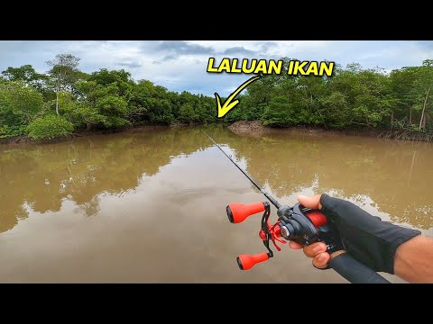 SUNGAI Muara Lorong Ikan Keluar Masuk