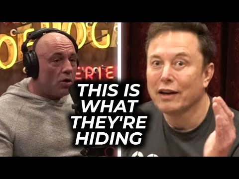 Elon Musk STUNNED Joe Rogan With DOGE's Findings