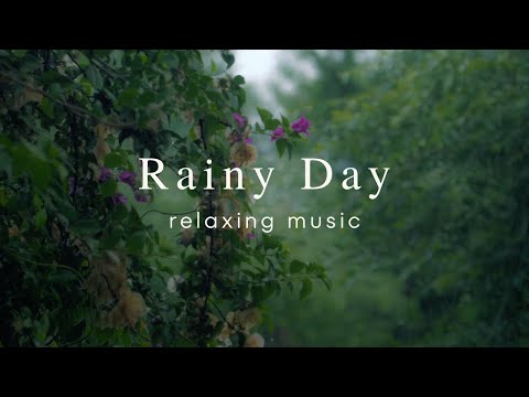 Relaxing Music and Rain | Stress Relief Calm Sleep 1 Hour