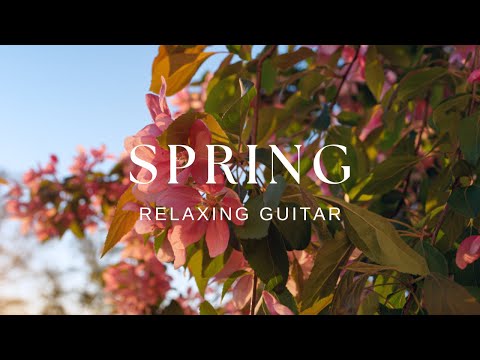 Peaceful Relaxing Guitar Music | Work Study Focus | 1 Hour