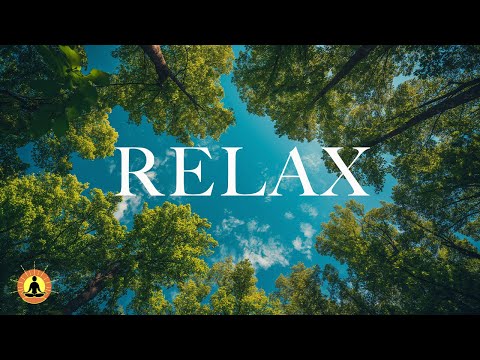 6 HOURS of Beautiful Relaxing Sleep Music for Stress Relief - Calm The Mind, Meditate, Study ☯3817