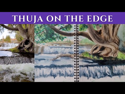 Waterfall & Thuja watercolour time lapse