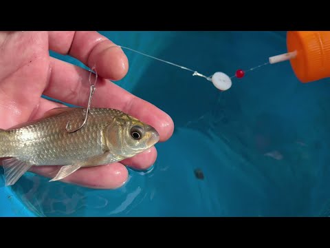 Don't throw away bottle caps, a genius fishing hack you need to know