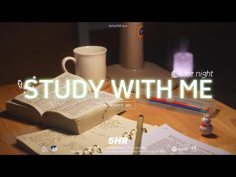 5-HOUR STUDY WITH ME | Ambient ver.🌿, Fire Crackle | Pomodoro 25-5 | Late night🌙🐍️🎉