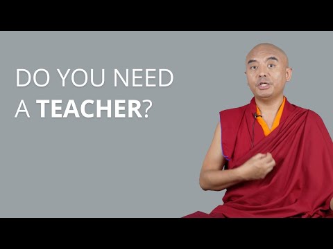 Do You Actually Need a Meditation Teacher? (My Honest Opinion) with Yongey Mingyur Rinpoche