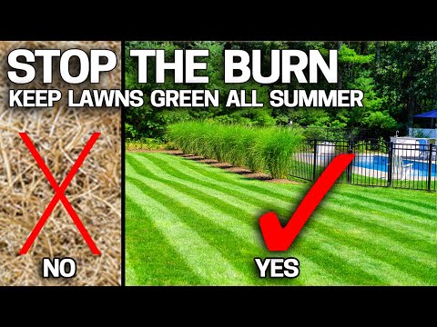 Spray This to STOP Your Lawn Burning Up in the Heat of Summer