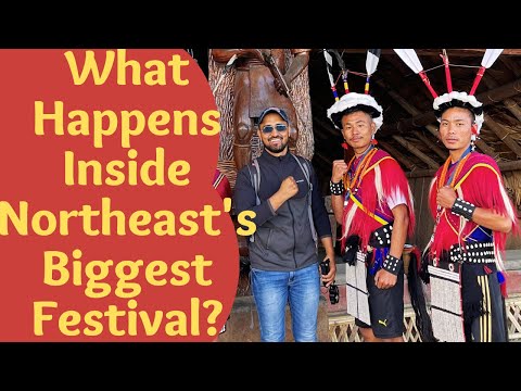 Hornbill Festival Nagaland | Culture, Traditions & Best Moments from the Festival | Nagaland Vlogs