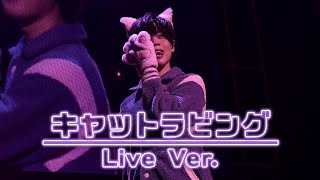 キャットラビング ／となりの坂田。【Live映像】