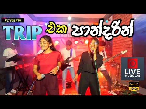 උණු උණුවේ අලුත්ම එක 😍🔥| Trip Eka Pandarin | Flybreath Music Band | Live Music Lab