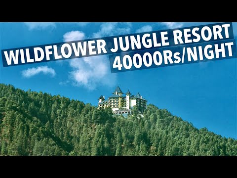 Inside Shimla’s Most Iconic Jungle Resort - WildFlower