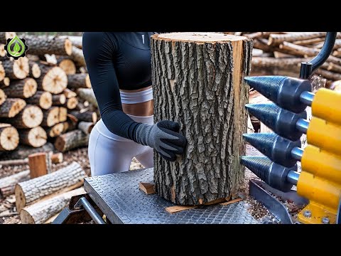 Fastest Automatic Firewood Processing Machine | Dangerous Big Chainsaw Cutting Tree machines #8