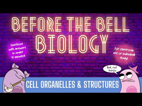 Cell Organelles & Structures: Before the Bell Biology