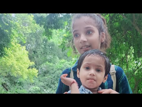 , बन्दर  बंदरिया के साथ मस्ती॥ #monkey playing #entertainment#funny#youtube#kids #live#livestream