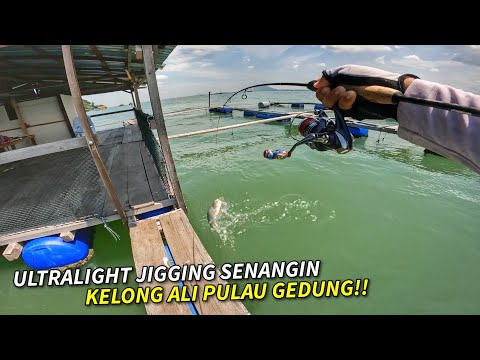 ULTRALIGHT JIGGING Senangin Kelong Ali Pulau Gedung!!