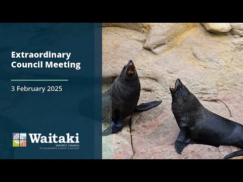 Extraordinary Council Meeting - 3 February 2025