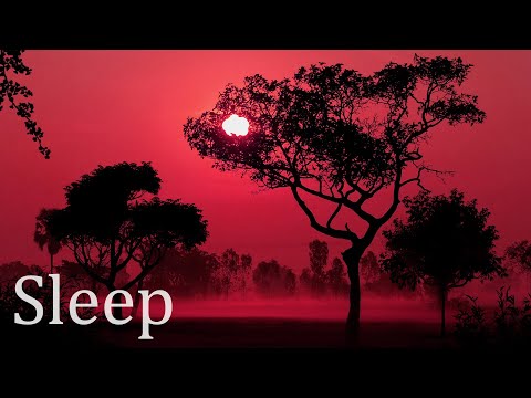 Relieve Excessive Sleepiness - Music to Sleep and Renew Energies - Sleep Quiet