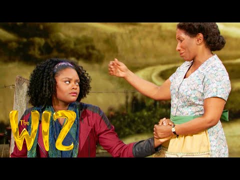 The Feeling We Once Had | The Wiz Live