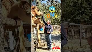 Animals🐾 Funny moments😱 #funnymoments #shorts #tiktok #pets #foryou #viralvideo  #animals #aishorts