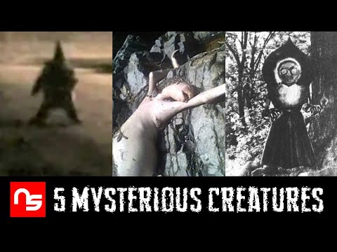 Freaky 5 - Creatures of Unknown Origin