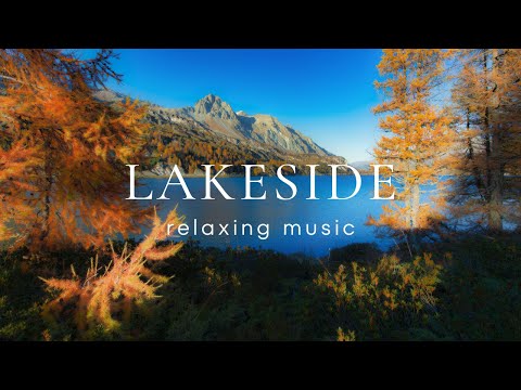 Peaceful Relaxing Guitar | Work Study Read Focus | Lakeside