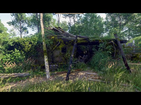 Kingdom Come Deliverance 2 - How to Find the Carcass in the Ruined Farm (Forbidden Fruit Quest)