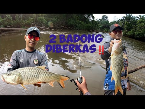 2 EKOR SEBARAU BESAR BERJAYA DITUMPASKAN #topwater #hampala #sebarau