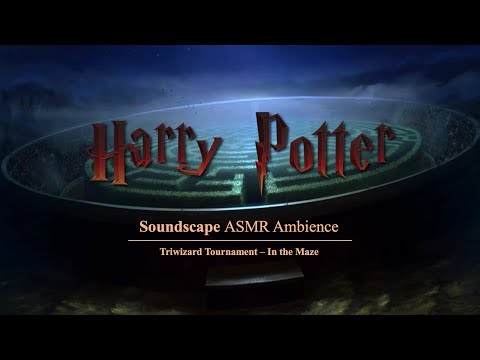 HARRY POTTER - Triwizard Tournament - In the Maze - Ambience Soundscape Studying and Relaxing (ASMR)