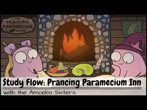 Study Flow: Amoeba Sisters Prancing Paramecium Study Video - 40 Minutes