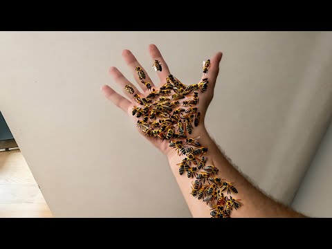 these BEES are stuck on my arm.. (HELP)