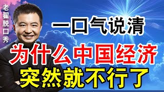 一口气说清：为什么中国经济突然就不行了？ #翟山鹰 #老翟脱口秀