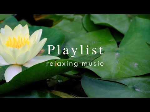 Relaxing Guitar Music Playlist | Work Study Read Focus | 1 Hour