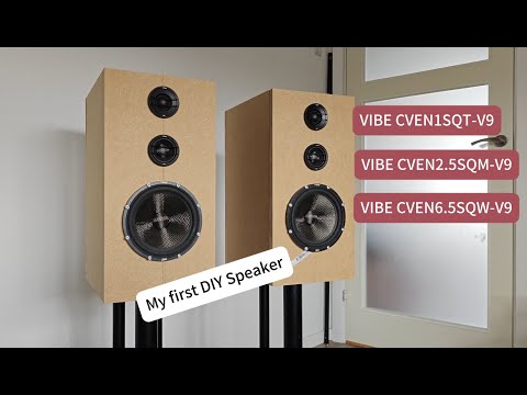 My first DIY speaker, 3-Way speaker, Frequency Response test and Sound Demo, please give any comment