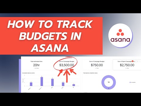 How to Track Budgets in Asana: Step-by-Step Guide for Project Managers