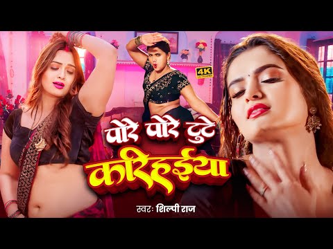 #Video | इस साल का सबसे बड़ा हिट गाना | #Shilpi Raj | #Neelam Giri | #Sarvesh Singh | New Video Song