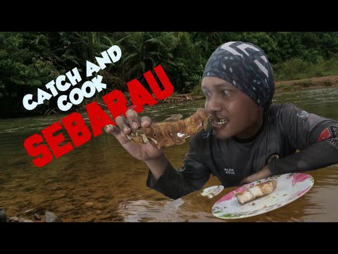 CASTING DAN MEMASAK IKAN SEBARAU/HAMPALA #topwater