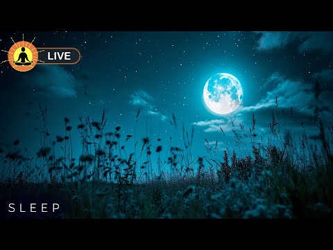 🔴 Tranquil & Relaxing Music for Deep Sleep 24/7 🌙3370, Stress & Insomnia Relief | Fall Asleep Fast