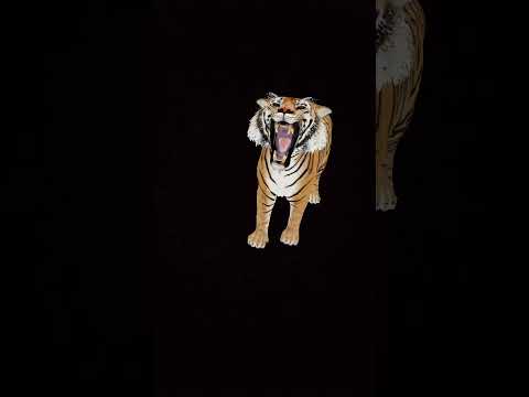 Tiger Black Screen Vfx video #tiger #vfx #blackscreenstatus