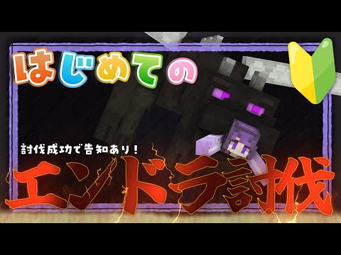 ✧ #minecraft ┊討伐成功で告知！初めてのエンドラ討伐耐久配信💥〖 #あまねまい ┊元声優Vtuber〗