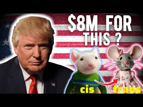 The Tale of Trump and the Woke Trans Mice