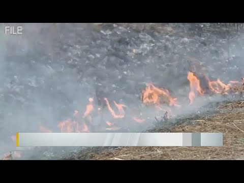 Vegetation fires continue to break out across Eastern North Carolina