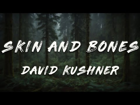 David Kushner - Skin and Bones (Lyrics)