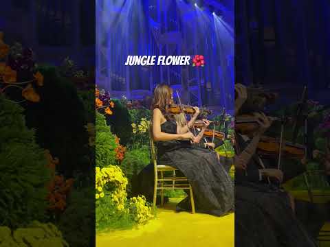 Jungle Flower 🌺 Sydney Town Hall 🎻 #music #violin