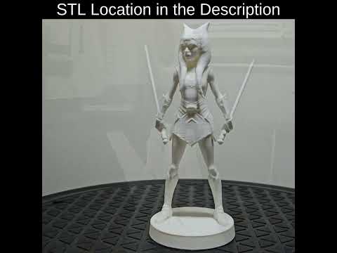 Ahsoka Tano Figurine From Star Wars on Bambu Lab P1S