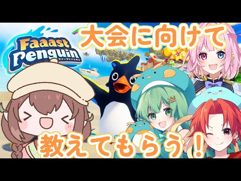 【#配信】大会に向けてファーストペンギンを教わる！【#はなごろも】