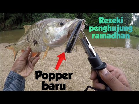 POPPER BARU‼️Langsung strike pakai popper ni #sebarau #hampala #topwater