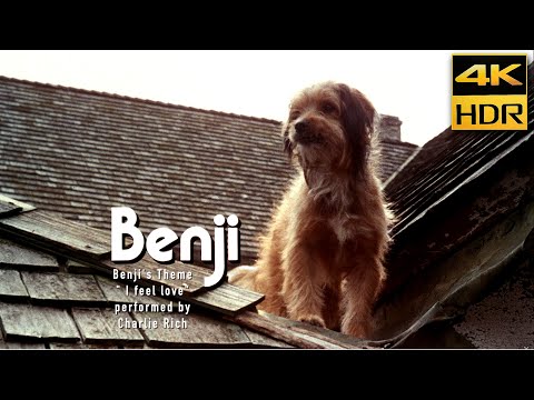 Benji (1974) • Charlie Rich "I Feel Love" • 4K HDR & HQ Sound